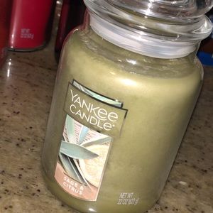 3 Yankee candles (brand new)
